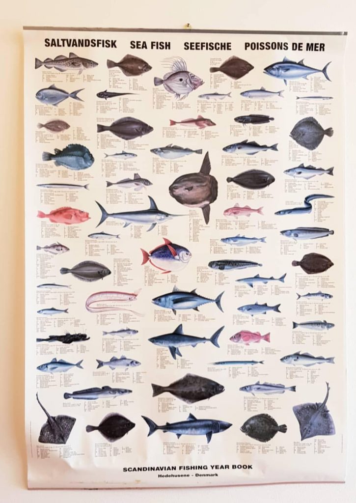 Sea Fish